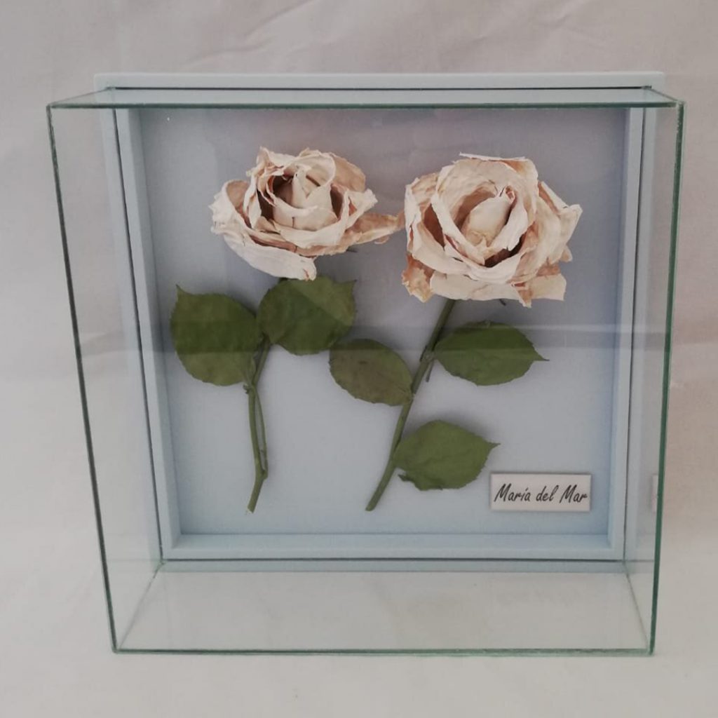 Enmarcado y secado de 2 rosas blancas