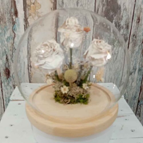 Secado y Preservación de Flores Sueltas Naturales | Cúpula Exclusiva de Cristal